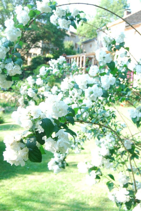Bed and Breakfast La Freiressa à Saint-Jean-des-Ollières Extérieur photo